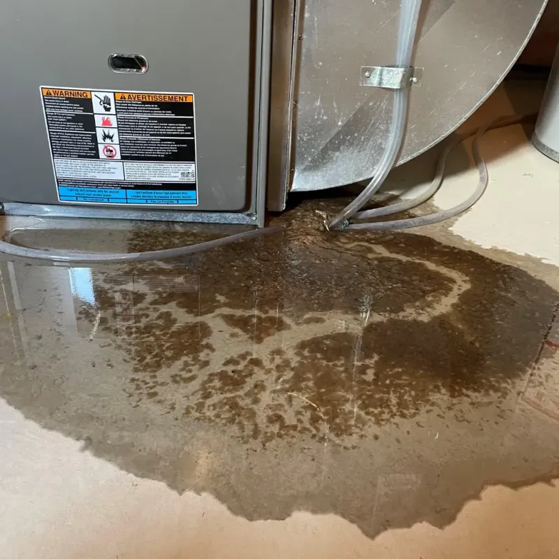 Appliance Leak Cleanup in Hidden Valley, IN